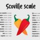 Skala Scoville