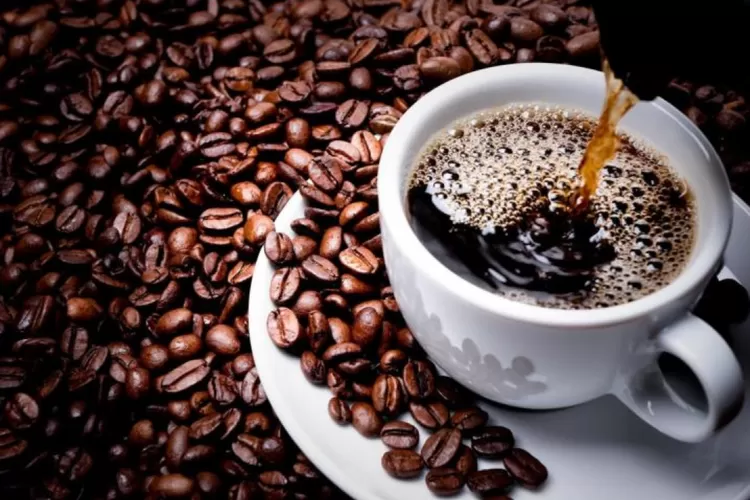Wisata Kopi