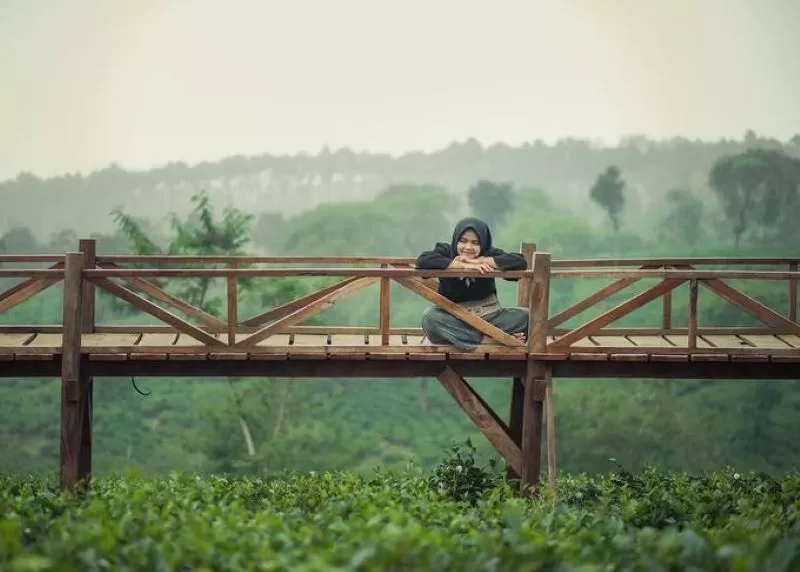 Eduwisata - Kebun Teh Wonosari